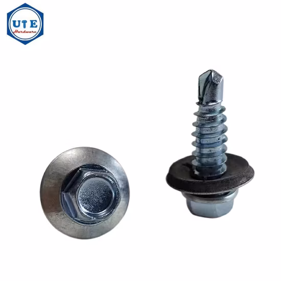 Stainless Steel Machine Screw Self Tapping Screw Self Drilling Screw Socket Screw Wood Screw Set Screws