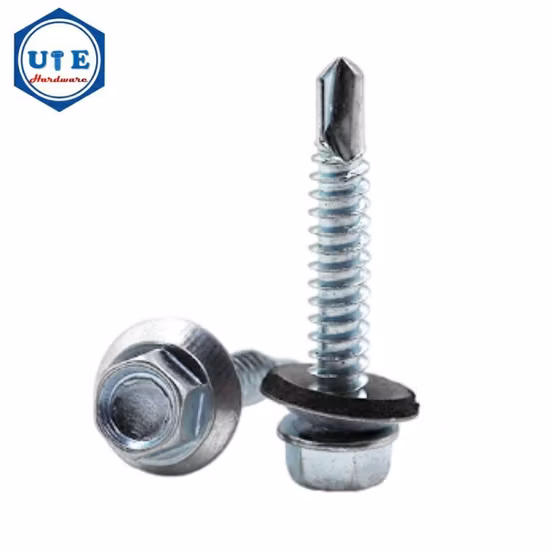 Stainless Steel Machine Screw Self Tapping Screw Self Drilling Screw Socket Screw Wood Screw Set Screws