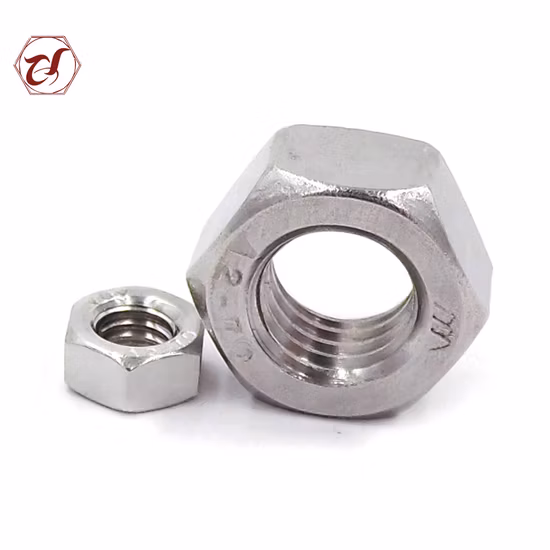Stainless Steel Hex Nut /Flange Nut/Hex Nylon Lock Nut/ Spring Nut /Eye Nut/Acron Nut T Nut with High Quality (DIN934 DIN6923 DIN985 DIN557 DIN1587)