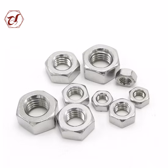 Stainless Steel Hex Nut /Flange Nut/Hex Nylon Lock Nut/ Spring Nut /Eye Nut/Acron Nut T Nut with High Quality (DIN934 DIN6923 DIN985 DIN557 DIN1587)