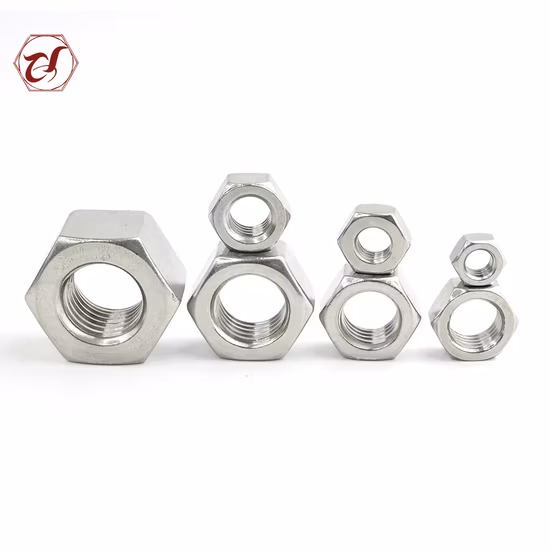 Stainless Steel Hex Nut /Flange Nut/Hex Nylon Lock Nut/ Spring Nut /Eye Nut/Acron Nut T Nut with High Quality (DIN934 DIN6923 DIN985 DIN557 DIN1587)