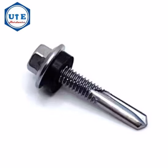 Stainless Steel Machine Screw Self Tapping Screw Self Drilling Screw Socket Screw Wood Screw Set Screws