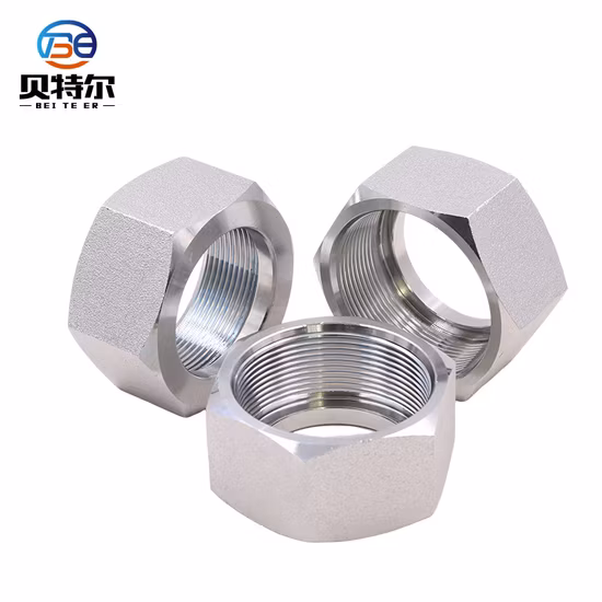 스테인레스 스틸 304 316 DIN934 DIN555 ISO4032 BS916 ANSI/ASME B18.2.4 너트 M3-M36 육각 너트