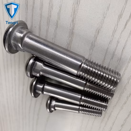 A2 A4 스테인레스 스틸 컵 타원형 목 나사 철도 피쉬 테일 나사 철도 탭 나사 피쉬 나사