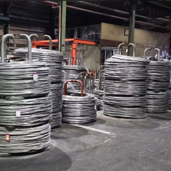 DIN603 스테인레스 스틸 304 둥근 머리 타원형 목 나사